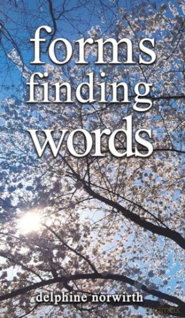 Forms Finding Words - Delphine Norwirth [KSIĄŻKA]