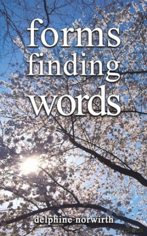 Forms Finding Words - Delphine Norwirth [KSIĄŻKA]