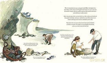 Fossil Hunter - Kate Winter [KSIĄŻKA]