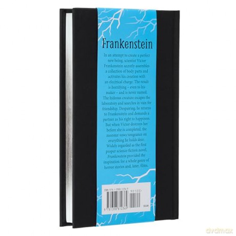 Frankenstein - Mary Shelley [KSIĄŻKA]