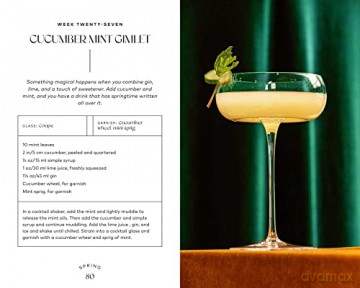 Friday Night Cocktails [KSIĄŻKA]