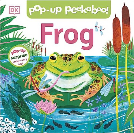 Frog - Dk [KSIĄŻKA]