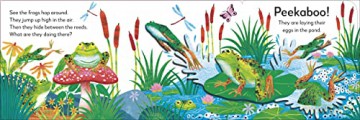 Frog - Dk [KSIĄŻKA]