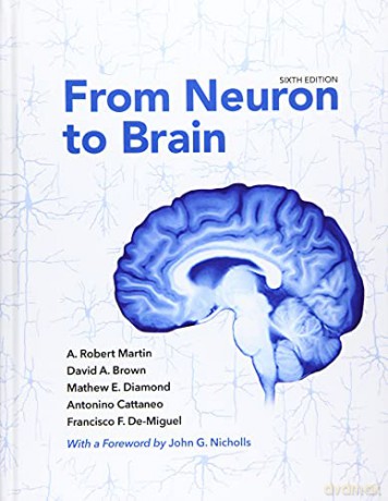 From Neuron To Brain [KSIĄŻKA]