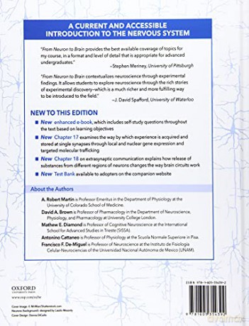 From Neuron To Brain [KSIĄŻKA]