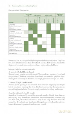 Frustrating Flowers And Puzzling Plants - John M. Warren [KSIĄŻKA]