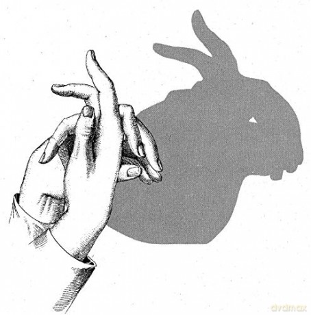 Fun With Hand Shadows - Frank Jacobs [KSIĄŻKA]