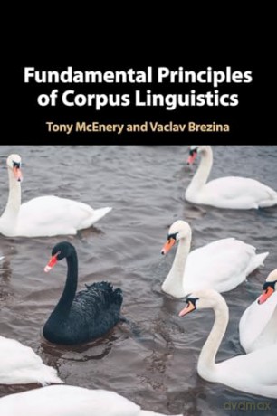 Fundamental Principles Of Corpus Lingui - Mcenery Tony [KSIĄŻKA]