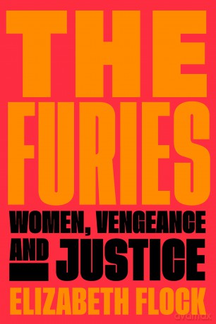 Furies The - Elizabeth Flock [KSIĄŻKA]