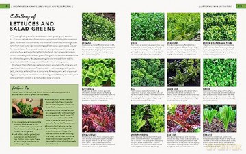Gardening Know How - Editors Of Gardening [KSIĄŻKA]