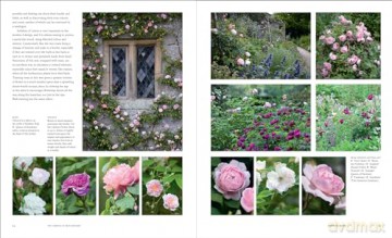 Gardens Of Arne Maynard - Arne Maynard [KSIĄŻKA]
