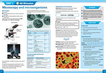 Gcse 9 1 Cbsci 2wk - Letts Gcse [KSIĄŻKA]