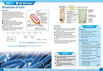 Gcse 9 1 Cbsci 2wk - Letts Gcse [KSIĄŻKA]
