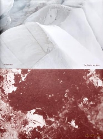Glacier Is A Being - Julian Stettler [KSIĄŻKA]
