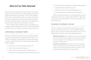 Gratitude Effect Positivity Journal - Randy E. Kamen [KSIĄŻKA]