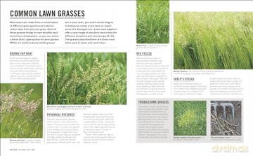 Grow Lawns - Dk [KSIĄŻKA]
