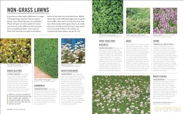 Grow Lawns - Dk [KSIĄŻKA]