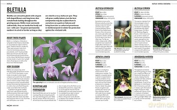 Grow Orchids - Andrew Mikolajski [KSIĄŻKA]
