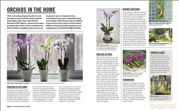 Grow Orchids - Andrew Mikolajski [KSIĄŻKA]