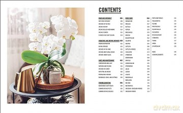 Grow Orchids - Andrew Mikolajski [KSIĄŻKA]