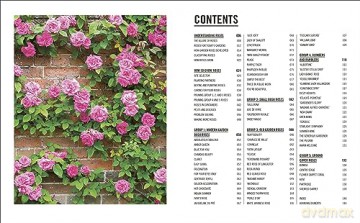 Grow Roses - Philip Clayton [KSIĄŻKA]