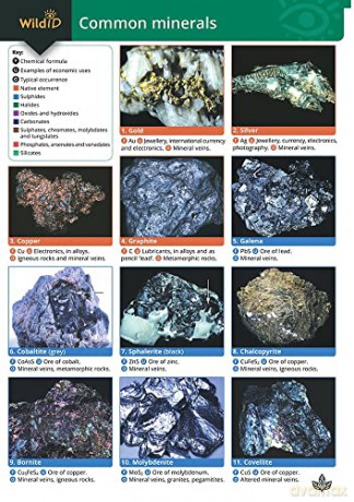 Guide To Common Minerals - Field Studies Councl [KSIĄŻKA]