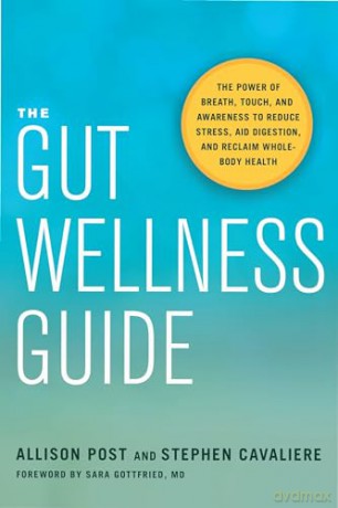 Gut Wellness Guide - Allison Post [KSIĄŻKA]