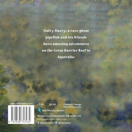 Hairy Harrys Very Hairy Day - John Magee [KSIĄŻKA]
