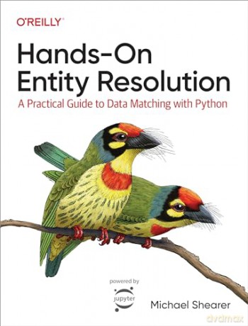Hands On Entity Resolution [KSIĄŻKA]