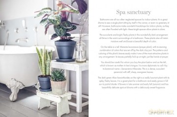 Happy Houseplants - Isabelle Palmer [KSIĄŻKA]