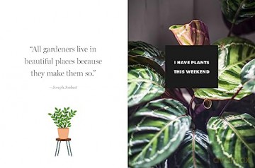 Happy Houseplants - Isabelle Palmer [KSIĄŻKA]