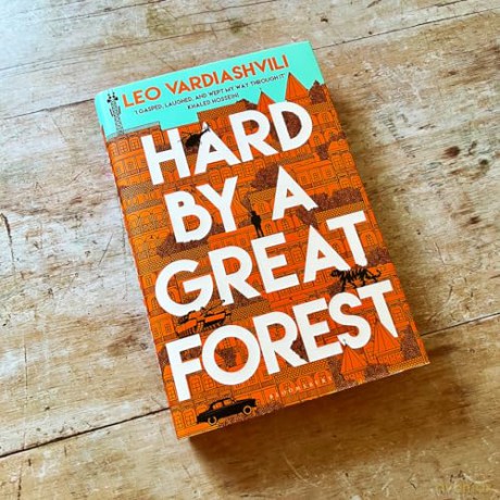 Hard By A Great Forest - Leo Vardiashvili [KSIĄŻKA]