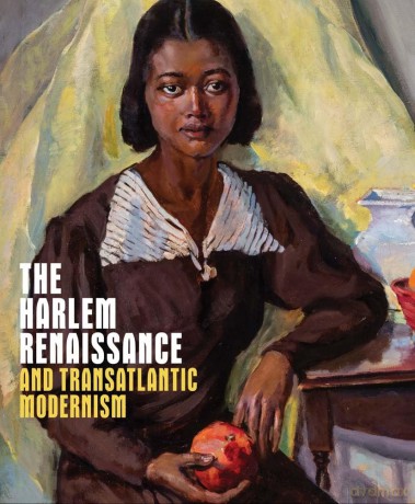 Harlem Renaissance And Transatlantic [KSIĄŻKA]
