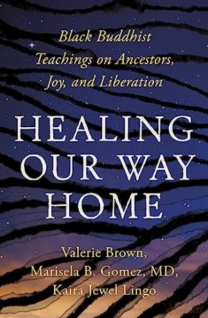 Healing Our Way Home - Kaira Jewel Lingo [KSIĄŻKA]