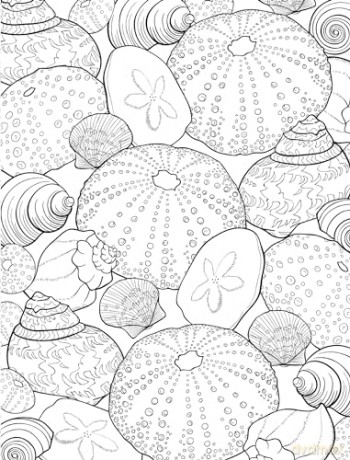 Healing Vibes Coloring For Calm [KSIĄŻKA]