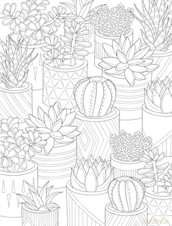 Healing Vibes Coloring For Calm [KSIĄŻKA]