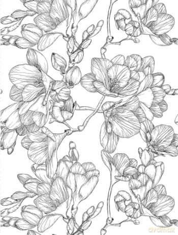 Healing Vibes Coloring For Calm [KSIĄŻKA]