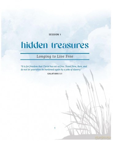 Hidden Bible Study Guide Plus Streaming - Allen Allison [KSIĄŻKA]