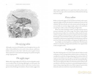 Hidden Life Of Garden Birds - Dominic Couzens [KSIĄŻKA]