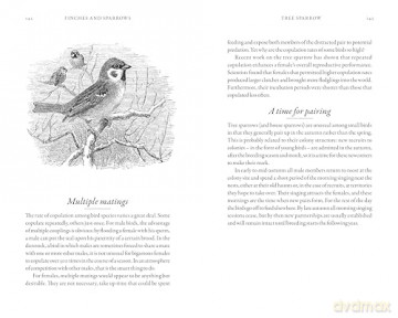 Hidden Life Of Garden Birds - Dominic Couzens [KSIĄŻKA]