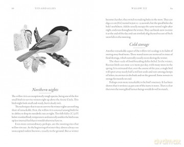 Hidden Life Of Garden Birds - Dominic Couzens [KSIĄŻKA]