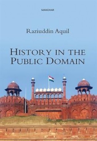 History In The Public Domain - Raziuddin Aquil [KSIĄŻKA]