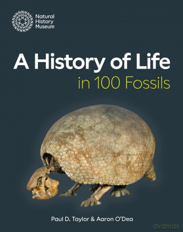 History Of Life In 100 Fossils - Paul D. Taylor [KSIĄŻKA]