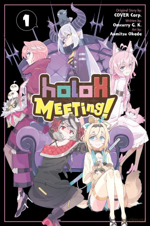 Holox Meeting Vol 1 - Cover Corp [KSIĄŻKA]