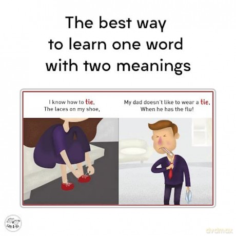 Homographs One Word Two Meanings - Priya Agarwal Mehta [KSIĄŻKA]