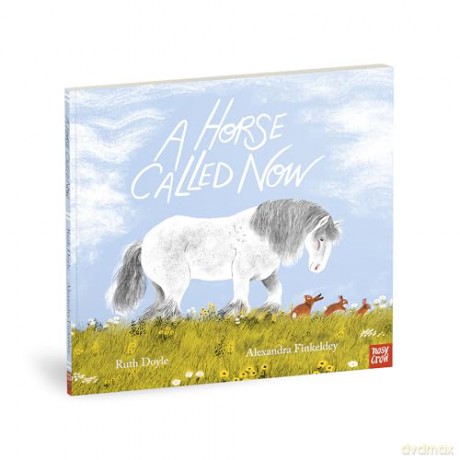 Horse Called Now - Ruth Doyle [KSIĄŻKA]