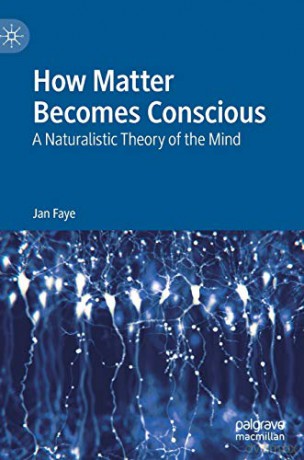 How Matter Becomes Conscious: A Naturalistic Theory of the Mind - Jan Faye [KSIĄŻKA]