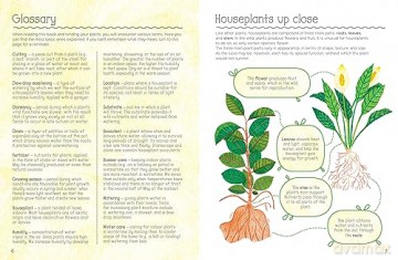 How Not To Kill Your Plant [KSIĄŻKA]