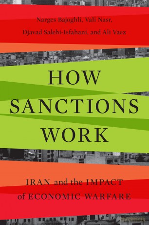 How Sanctions Work - Narges Bajoghli [KSIĄŻKA]
