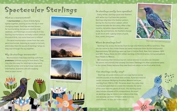 How Starling Got His Speckles - Keely Parrack [KSIĄŻKA]